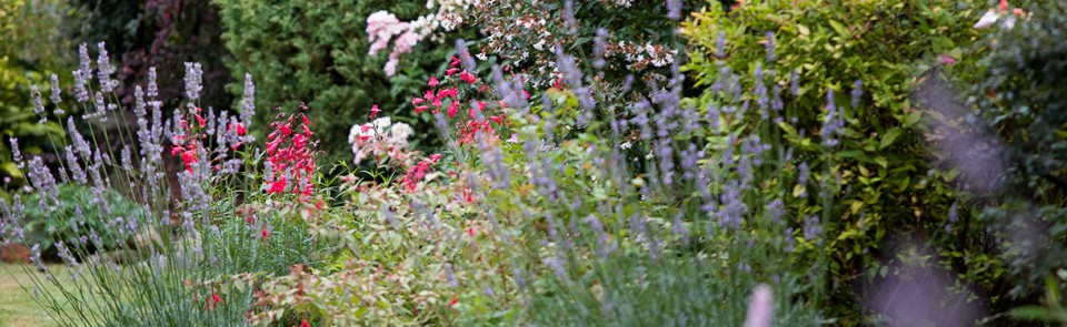 Garden & Property Maintenance